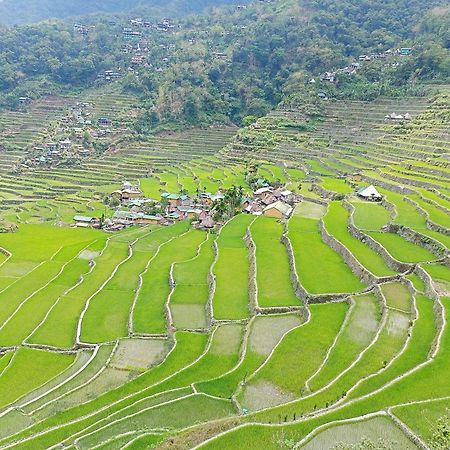 Banaue Transient House Bed And Breakfast المظهر الخارجي الصورة